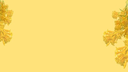 frame made of flowers