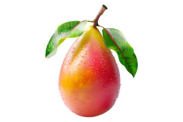 Ripe mango with green leaves and water drops isolated on white transparent background, colorful, organic, exotic, and delicious.