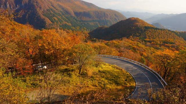 日光いろは坂 Images – Browse 79 Stock Photos, Vectors, and Video