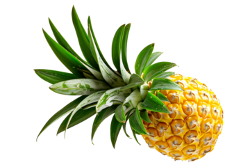 Vibrant and juicy pineapple with green leaves, perfect for summer recipes, isolated on white transparent background.