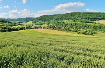 Hügelige Sommerlandschaft