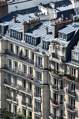 Paris skyline houses streets from above