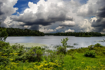 Jean Lake Ricketts Glenn State Park PA