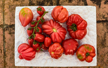 Stillleben mit Tomaten 