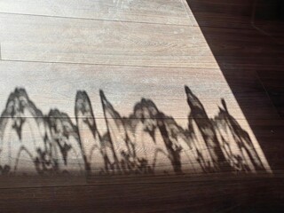 Playing with the Morning Sun. Curtains' Reflection on the Ground, Entering Light in the Room. Abstract point of view.