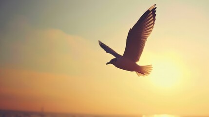 Fototapeta premium The sight of birds soaring through the sky embodies freedom and the joy of movement, inspiring us to pursue our own dreams and aspirations.