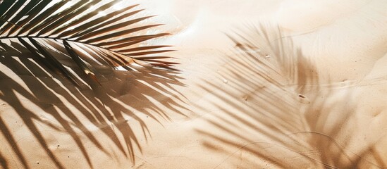 Obraz premium Top view of palm leaf shadow on sandy beach, empty space