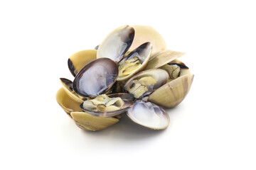 Closed up fresh baby clams, venus shell, shellfish, carpet clams, short necked clams, as raw food from the sea are the seafood ingredients. fresh clams Background. seafood.Isolated on white background