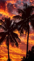 Silhouettes of palm trees against a fiery sunset sky, capturing the essence of a tropical beach vacation