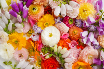 Big group of colorful flowers, top view of mixed fresh modern flowers. Flower farm harvest. Floral cover composition