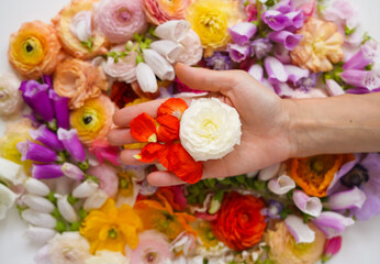 Hand holding flowers on a background of colorful flowers