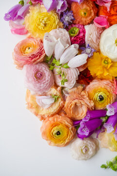 Close-up, many colorful flowers with space for text