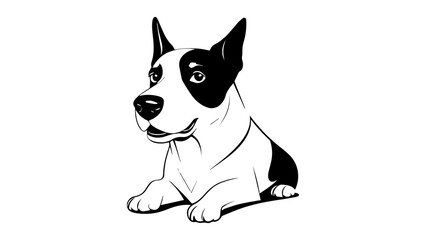 Fototapeta premium cute and funny black and white dog laying 
