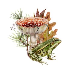 Autumn composition frog, mushroom fly agaric, pine spruce needles, grass branch leaves watercolor set illustration. For decoration  children’s parties, stickers, textile, fabric