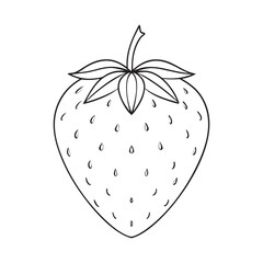 Strawberry line art illustration. Strawberry with leaves outline icon. Healthy vegan food concept