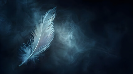 Feather of a bird on a dark background, Silhouette of a white feather abstract artistic