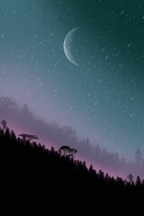 Fototapeta premium moon and stars