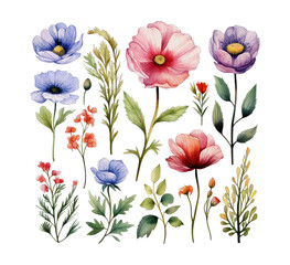 Elegant Floral Watercolor Artwork Featuring Detailed Wildflowers