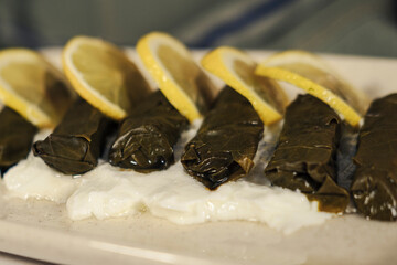 stuffed vine leaves  called dolmades or dolma, sarma of turkish and greek traditional kitchen, served on white porcelen plate with youghurt, lemon and greens