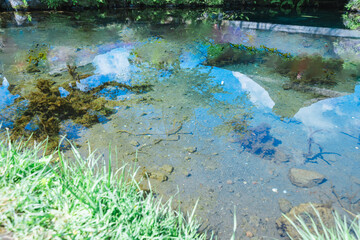 美しい忍野八海