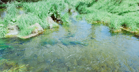 美しい忍野八海