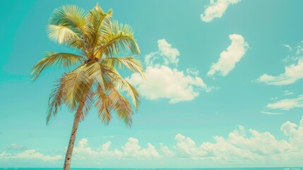 Fototapeta premium Tropical Scenery: Palm Trees on Beach with Abstract Blue Sky and Clean White Clouds.