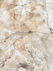 Natural Stone Surface Texture