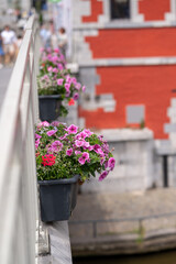 A beautiful bridge adorned with pink flowers cascading from the railing