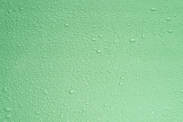 Fototapeta premium Green background with drops
