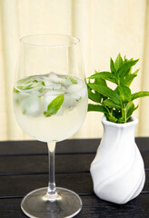 Green fresh peppermint Mentha piperita leaf inside ice cube in glass in water with fresh peppertmint inside vase. Cooling summer drink concept.