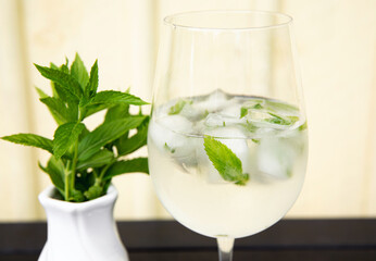Green fresh peppermint Mentha piperita leaf inside ice cube in glass in water with fresh peppertmint inside vase. Cooling summer drink concept.
