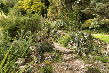 Jardin Alpin au jardin des Plantes à Paris