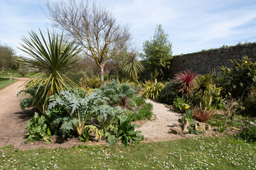 Jardin maritime, Ile de Tatihou, Saint Vaast la Hougue, Site naturel prot&eacute;g&eacute;,  Manche, 50, France