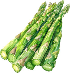 A bunch of fresh green asparagus spears, ready to be cooked.