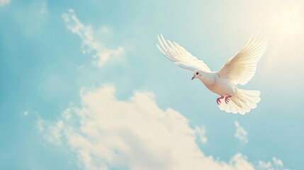 Space sky funeral background with white dove in flight, serene and peaceful atmosphere, soft celestial colors, ethereal memorial scene, ideal for sympathy cards, condolence messages, and spiritual ref