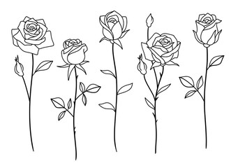 Rose bud stems vector SVG outline
