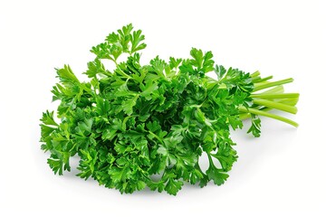 Fototapeta premium parsley on isolated background