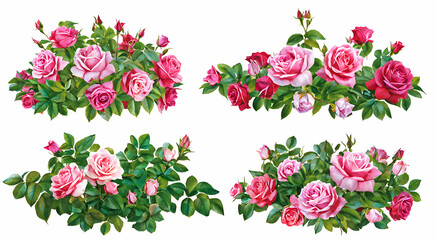  Set of beautiful pink roses with lush green leaves, cut out 