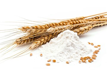 wheats ans what flour on isolated background