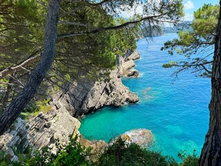 Obraz premium Pine trees above blue sea