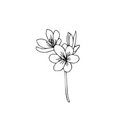 Simple floral line art style design silhouette vector isolated
