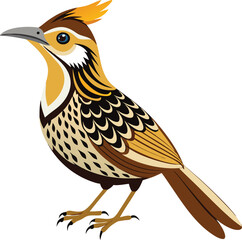 Cactus Wren bird Vector