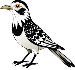 Cactus Wren bird Vector