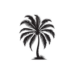 Naklejka premium Coconut Tree silhouette Vector