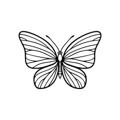Fototapeta premium cute line art butterfly animal vector illustration template design