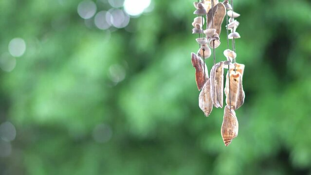 seashell wind chime hanging on right side and blowing in the wind with green tree background