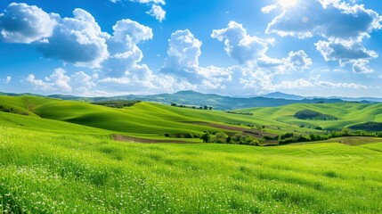 Fototapeta premium Tranquil Rolling Hills and Meadows Beneath Clear Sky with Fluffy Clouds