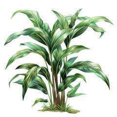 Fototapeta premium A vibrant green houseplant with broad, lush leaves, ideal for home or office decor, adding a touch of nature indoors.
