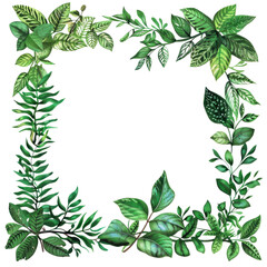 Beautiful frame of green leaves providing a natural border perfect for invitations, websites, and designs.