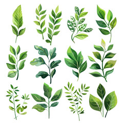 Collection of various hand-drawn green leaves with different shapes and sizes, perfect for botanical and nature-themed designs.